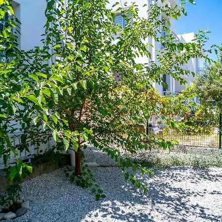 Апартаменты With Facilities And Garden. Karavas (Northern Cyprus)